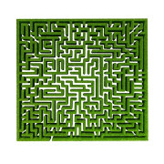 Hedge Maze